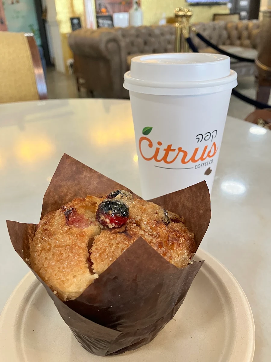 Blueberry Muffin