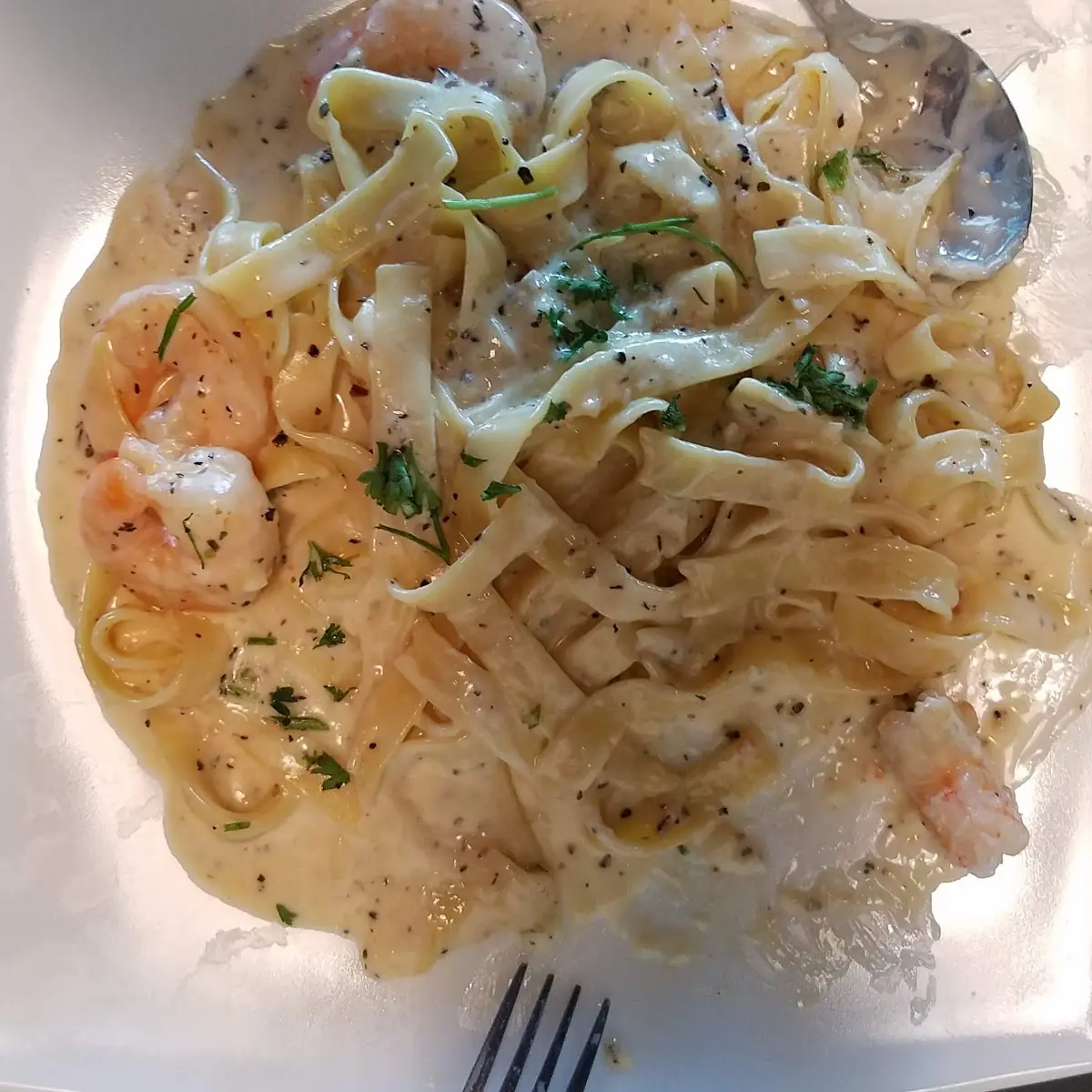 Shrimp Alfredo