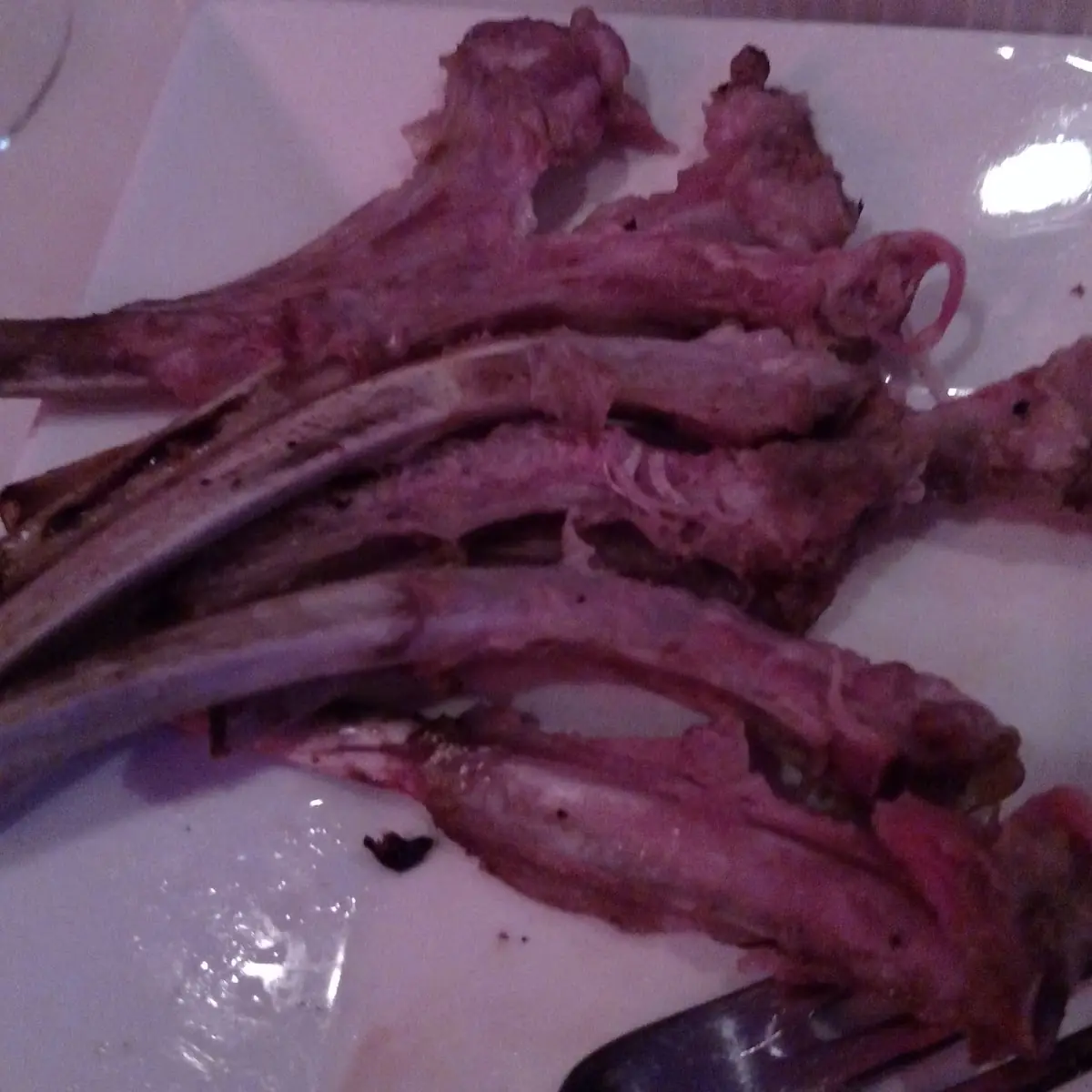 Jerk Lamb Chops