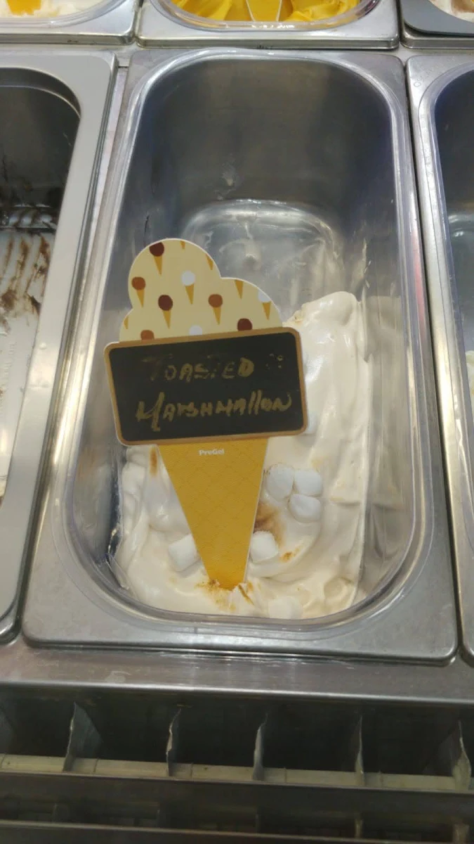 Toasted Marshmallow Ice Cream