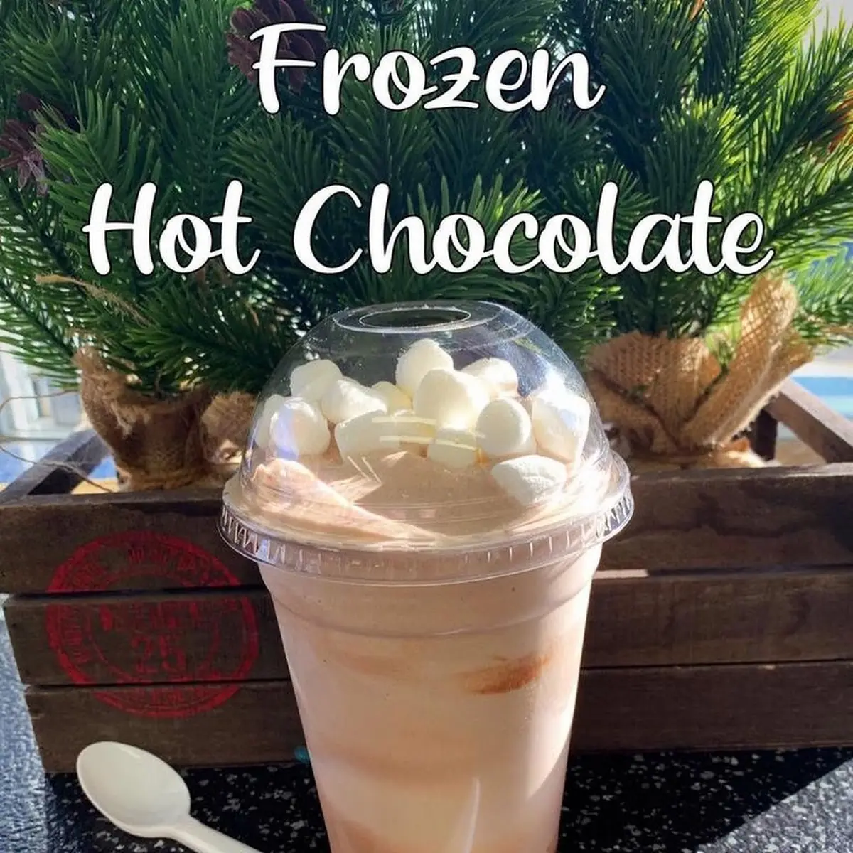 Pecan Turtle Vanilla Blended with Hot Fudge