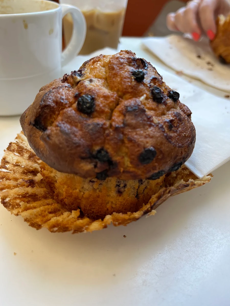 Blueberry Muffin