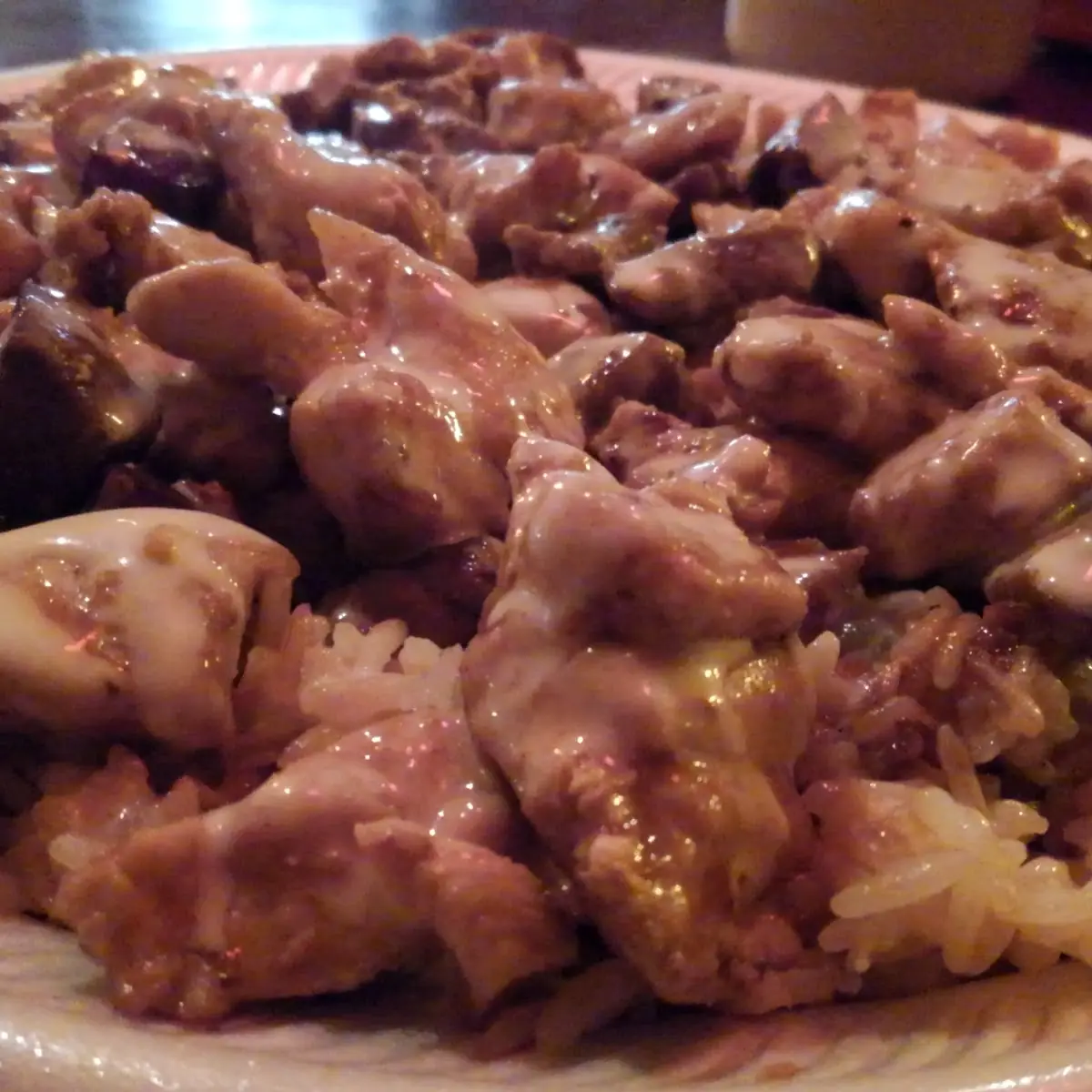 Steak & Chicken Teriyaki with Fried Rice