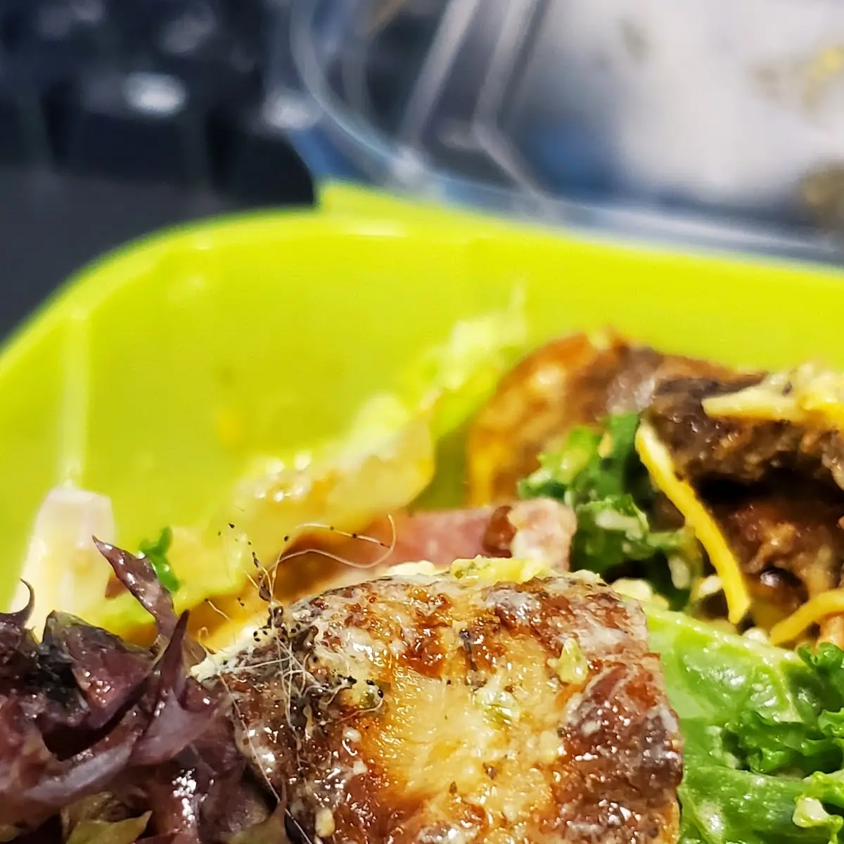 Foreign Object of Some Sort on My Chicken Unknown