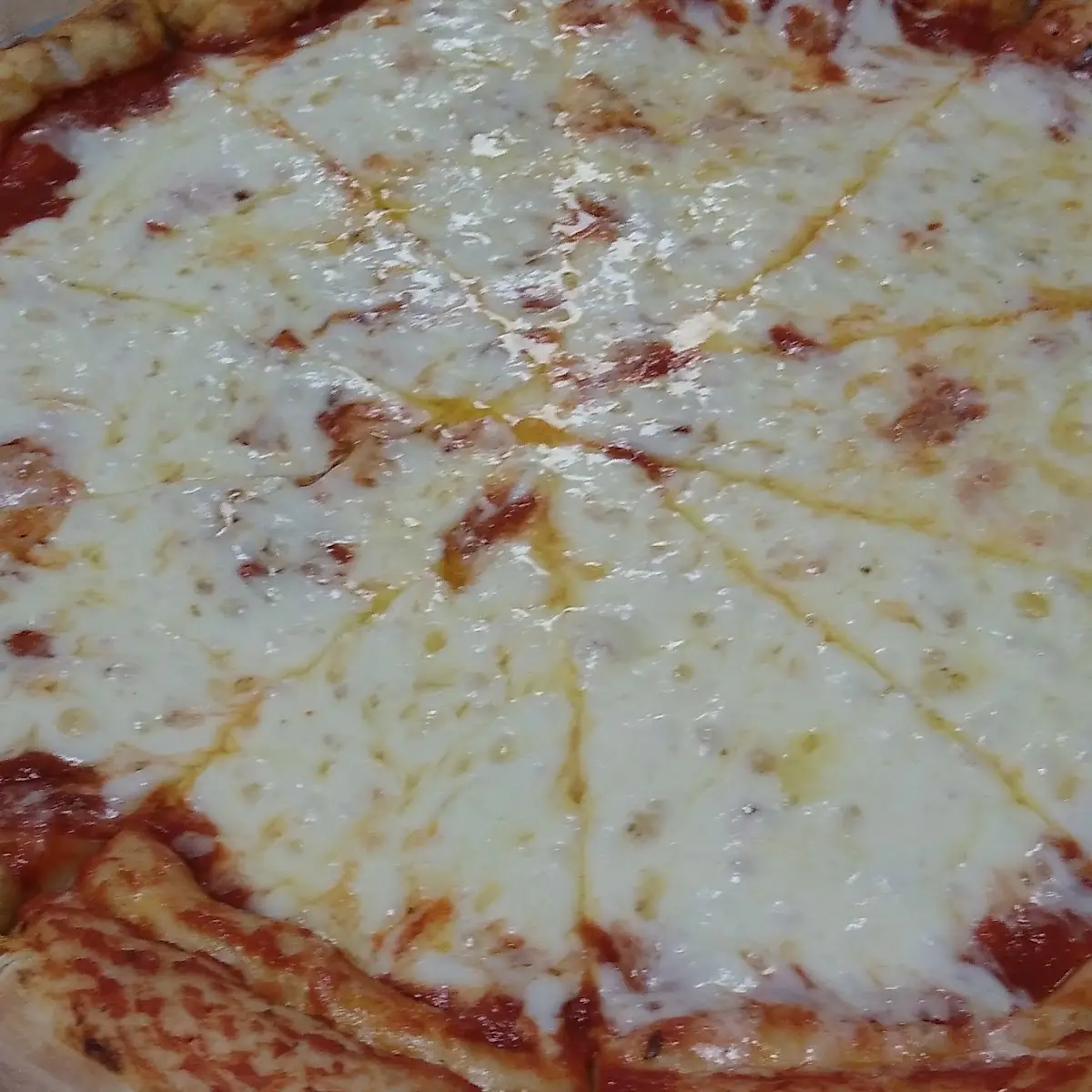 Extra Cheese Pizza