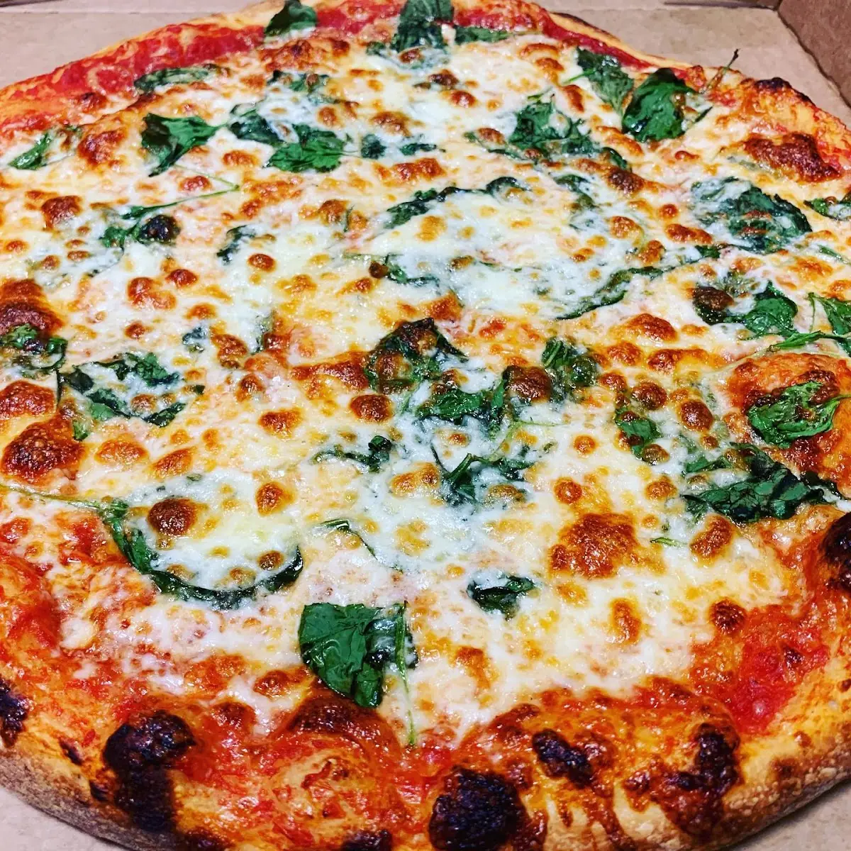 L Margherita Pizza