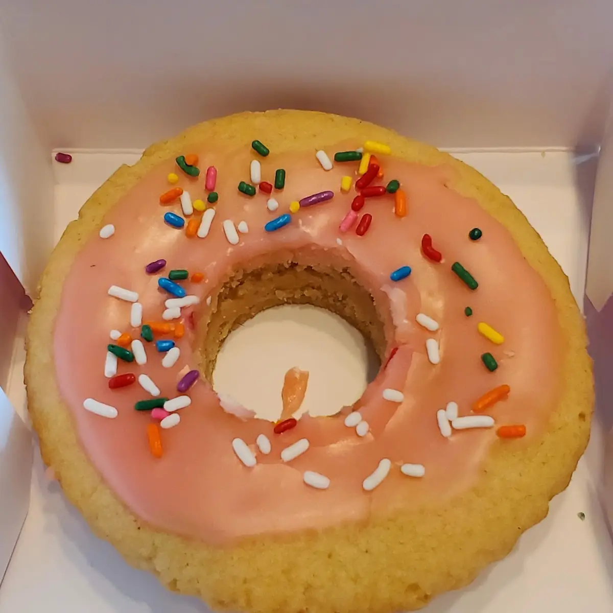 Pink Doughnut