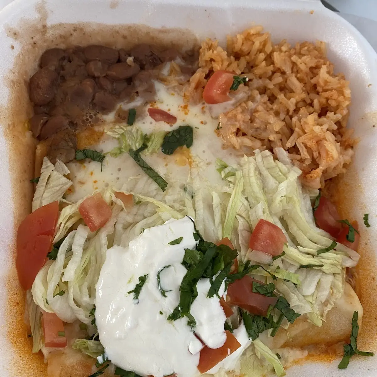 Enchilada 1 & Chile Relleno