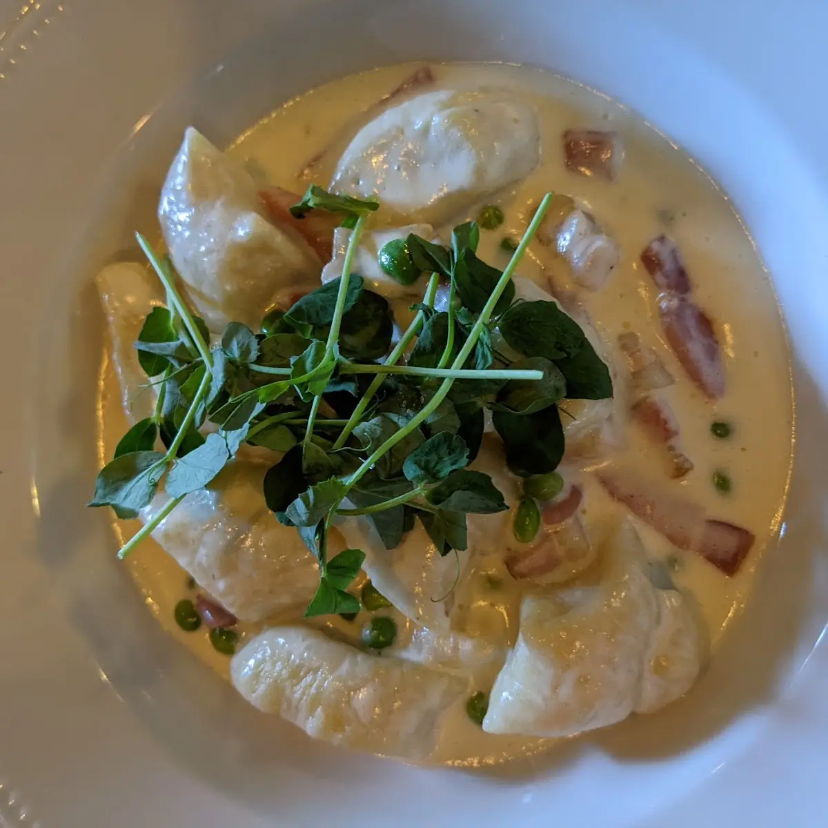 Gnocchi Gorgonzola