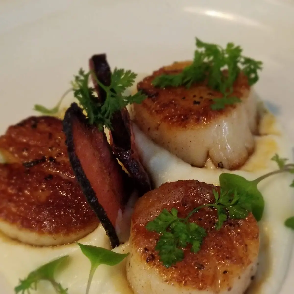 Seared Scallops Special