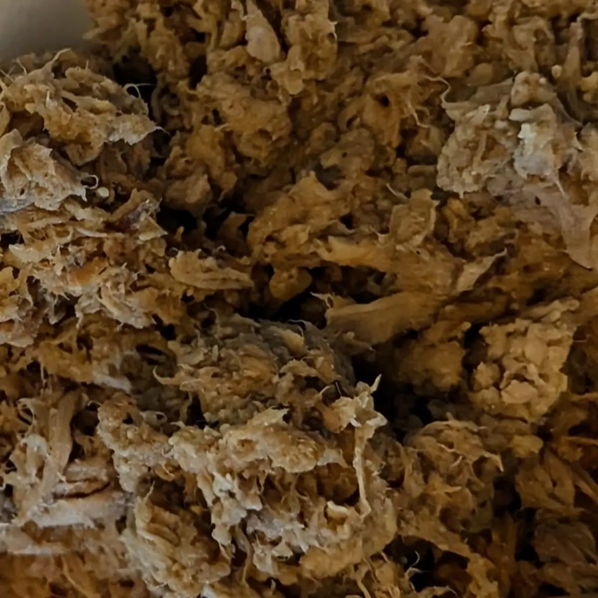 BBQ Pork