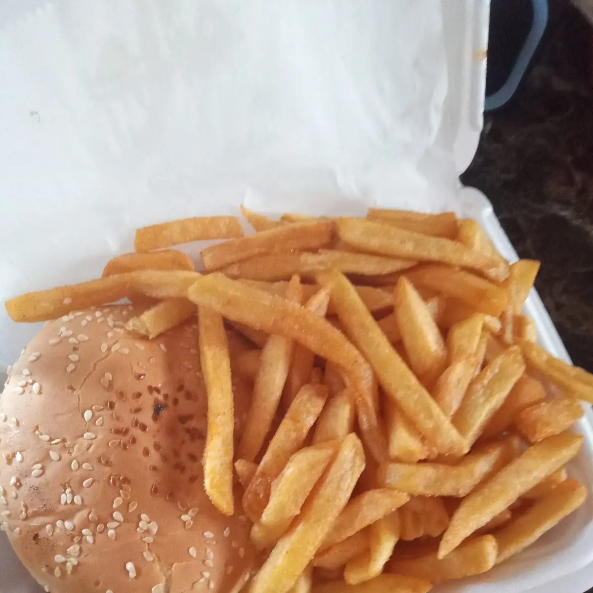 Chicken Burger with Fries