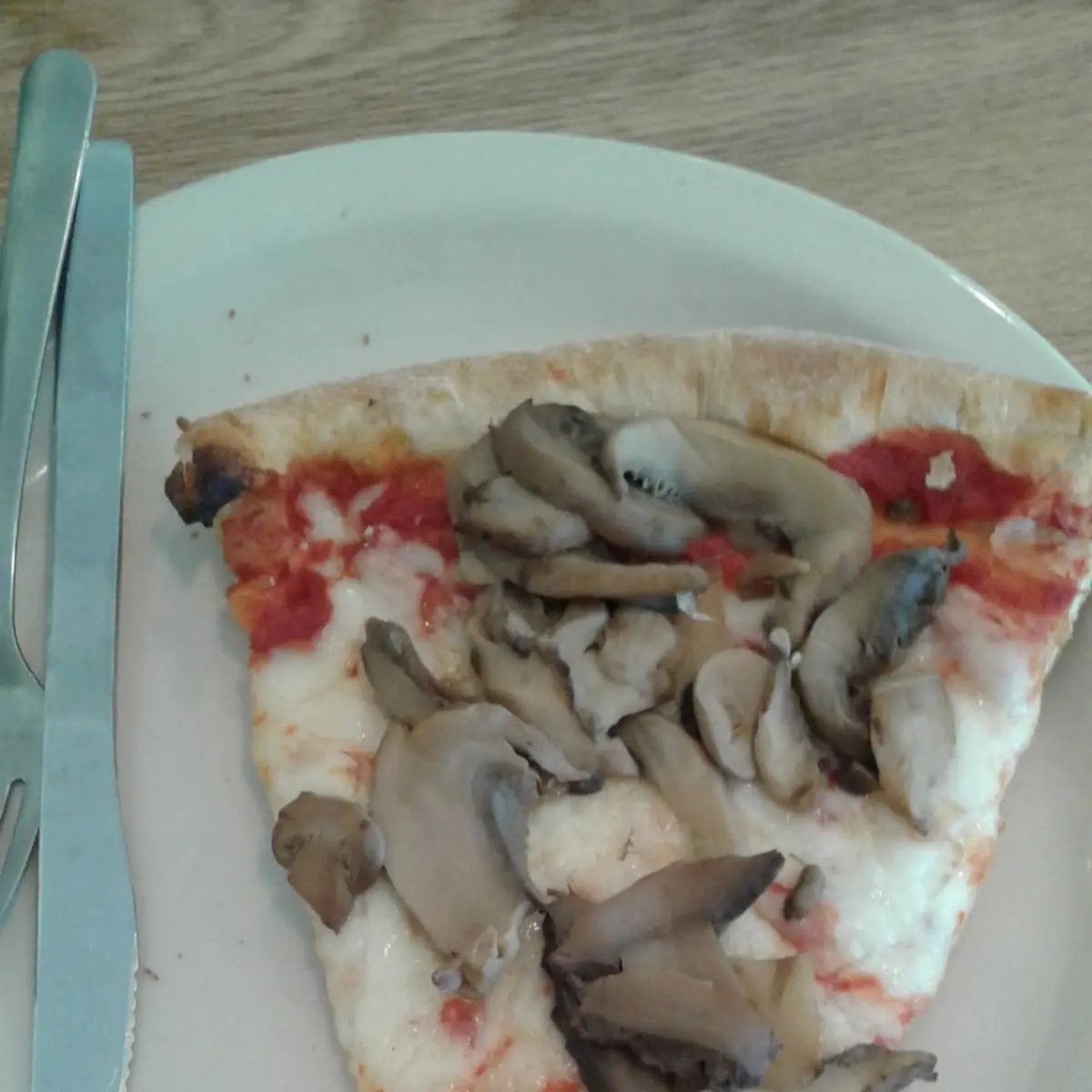 Mushroom Pizza