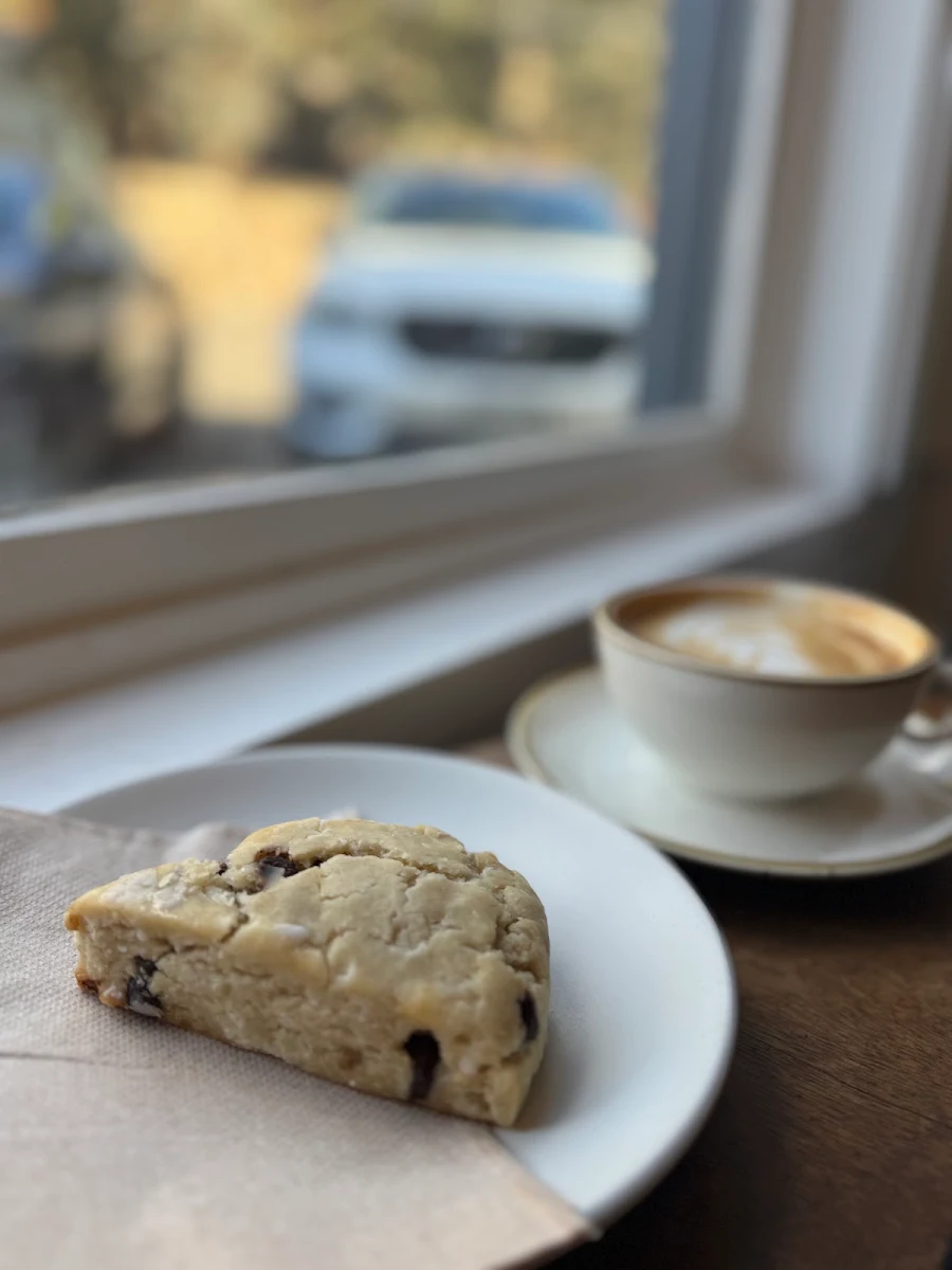 Gluten Free Chocolate Chip Scone