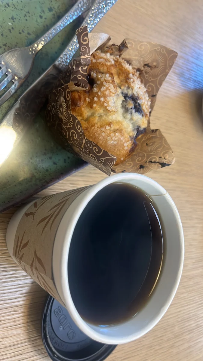 Blueberry Muffin