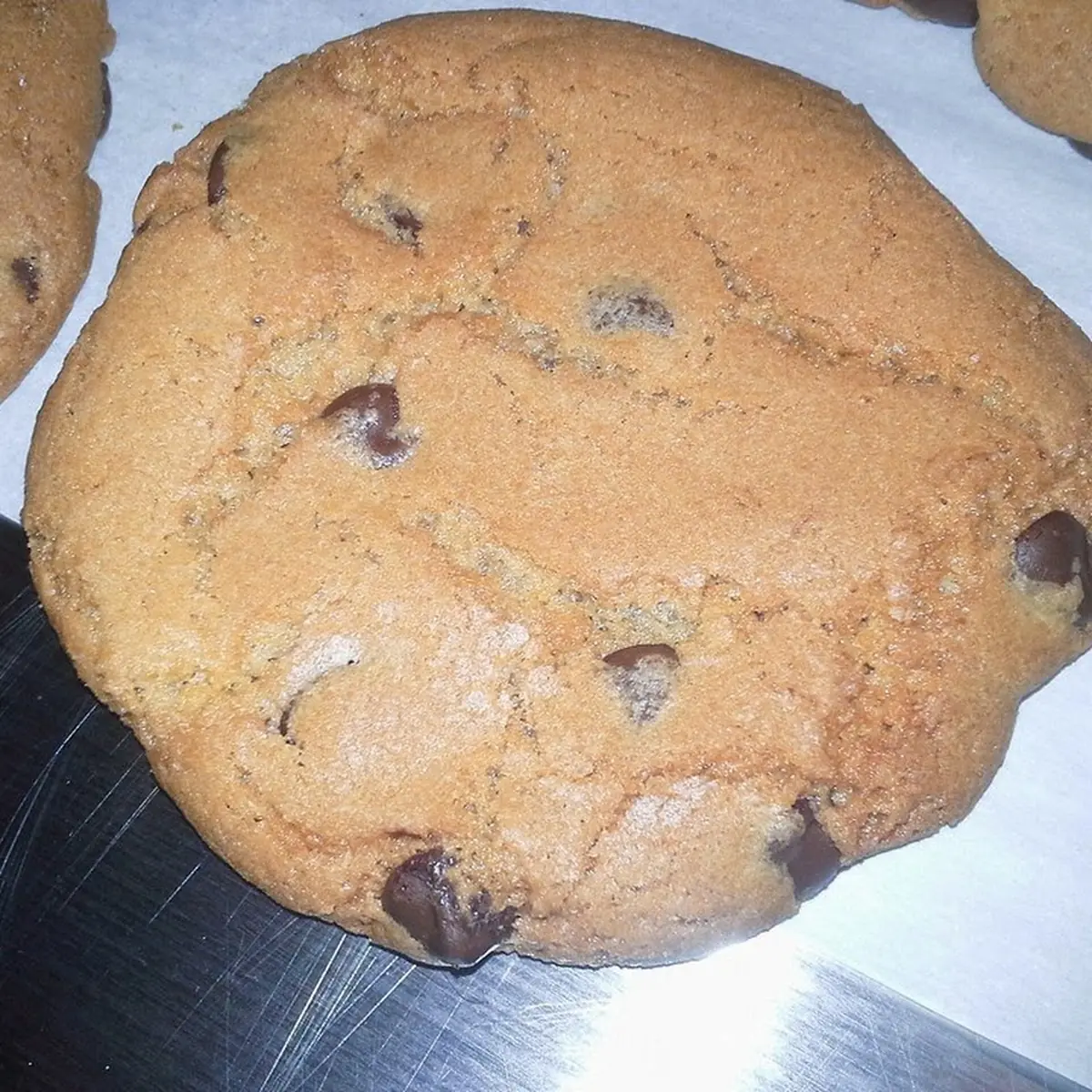 Chocolate Chip Cookie