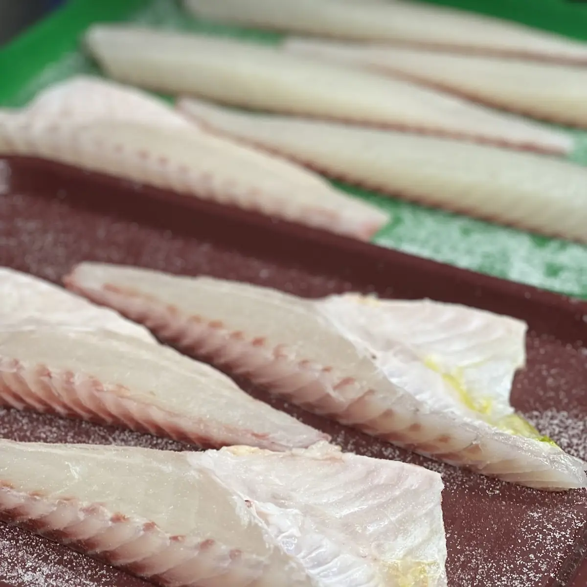 Yellowtail Collar