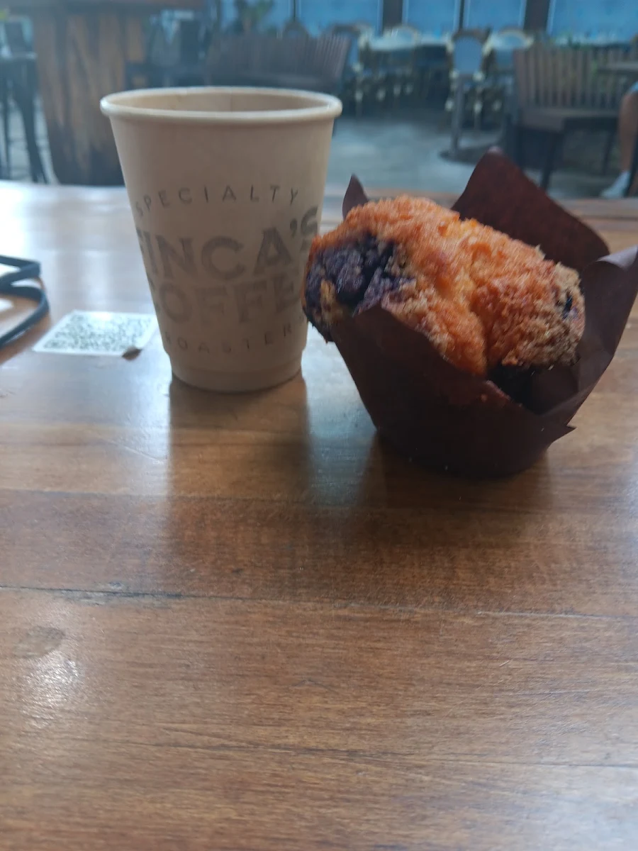 Blueberry Muffin