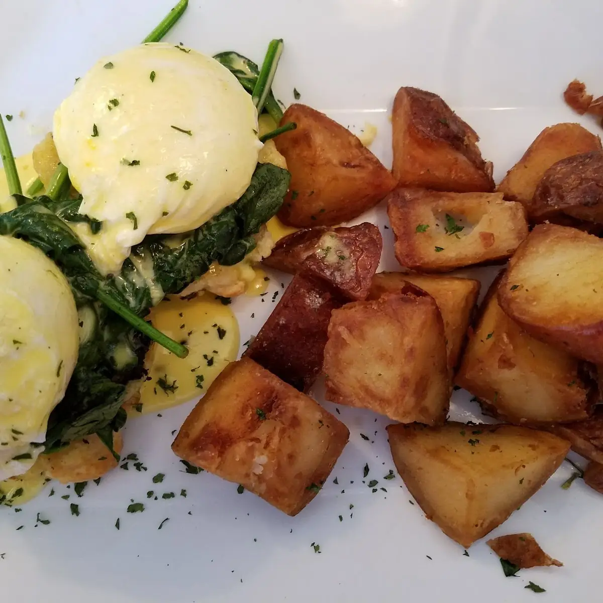 Eggs Benedict w Spinach