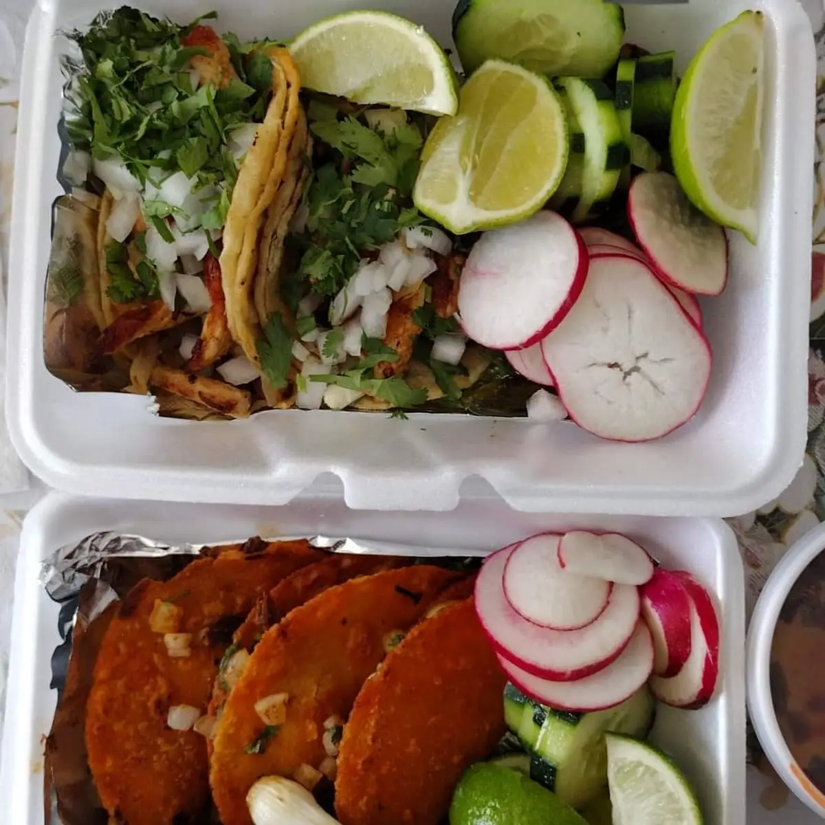Quesa-Birria and Chicken Tacos