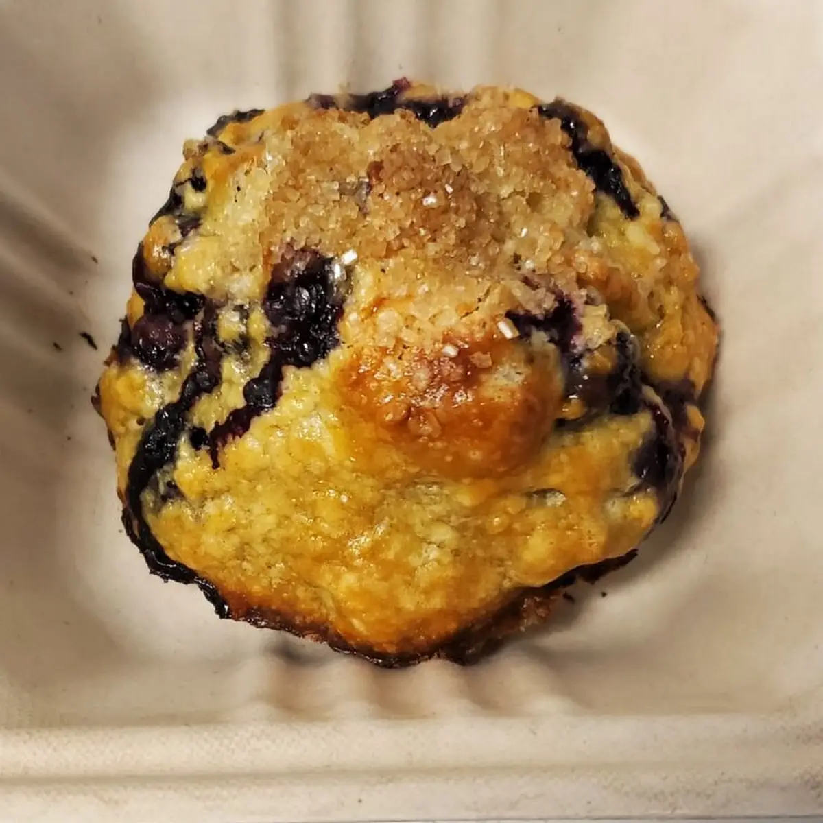 Blueberry Muffin