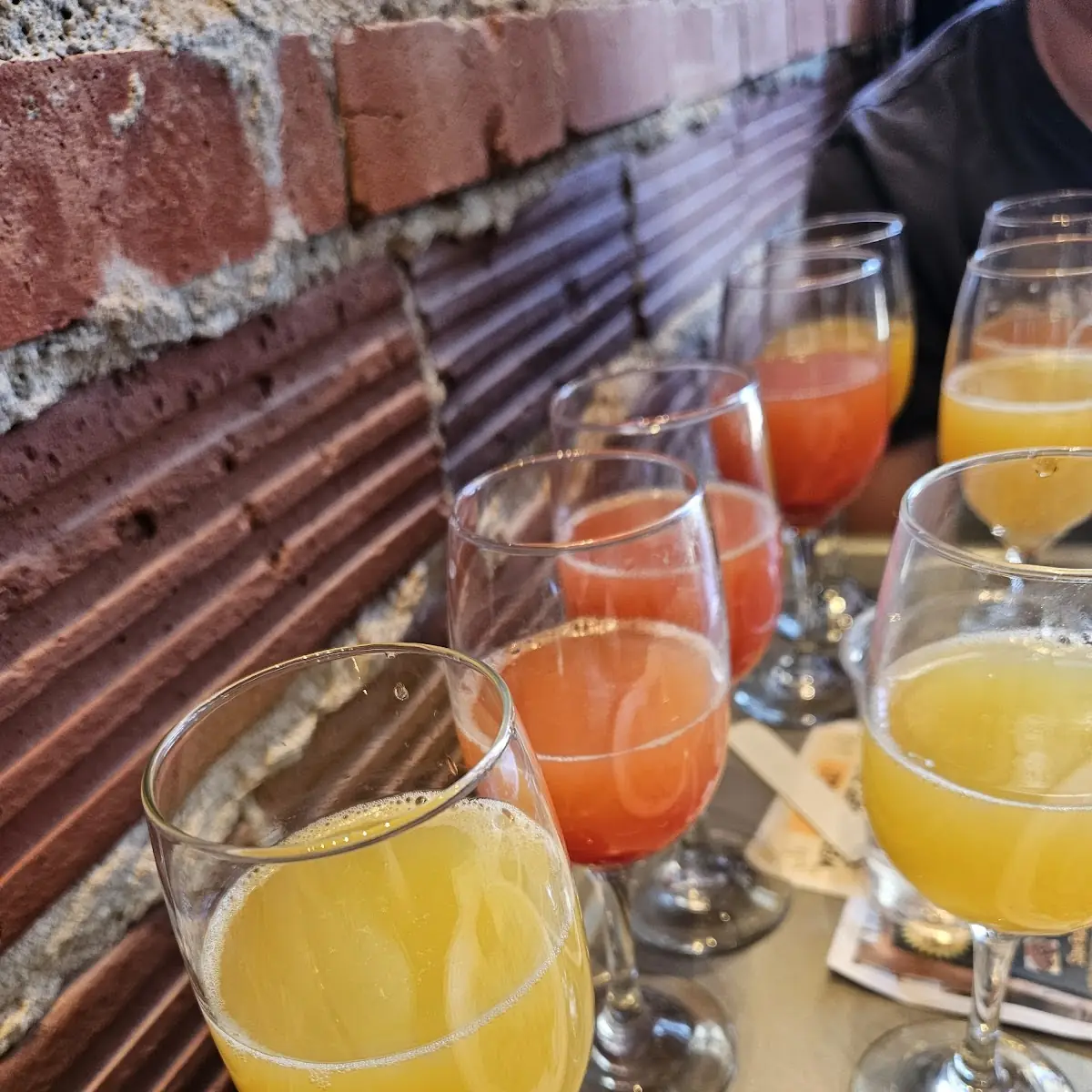 Mimosa Flight