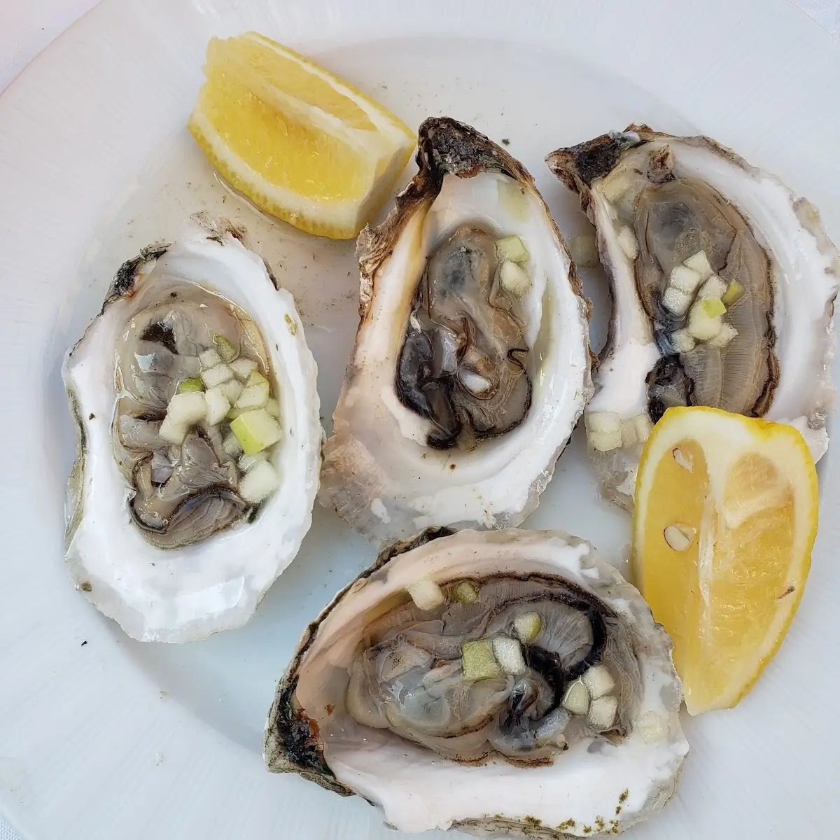 Raw Oysters on the Half Shell