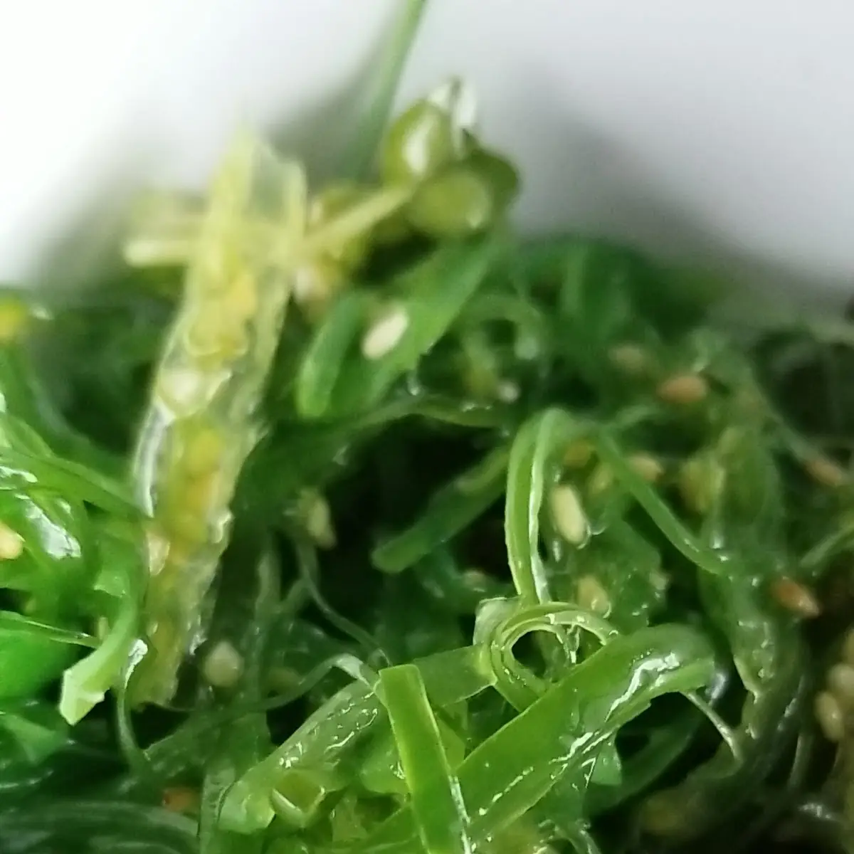 Seaweed Salad