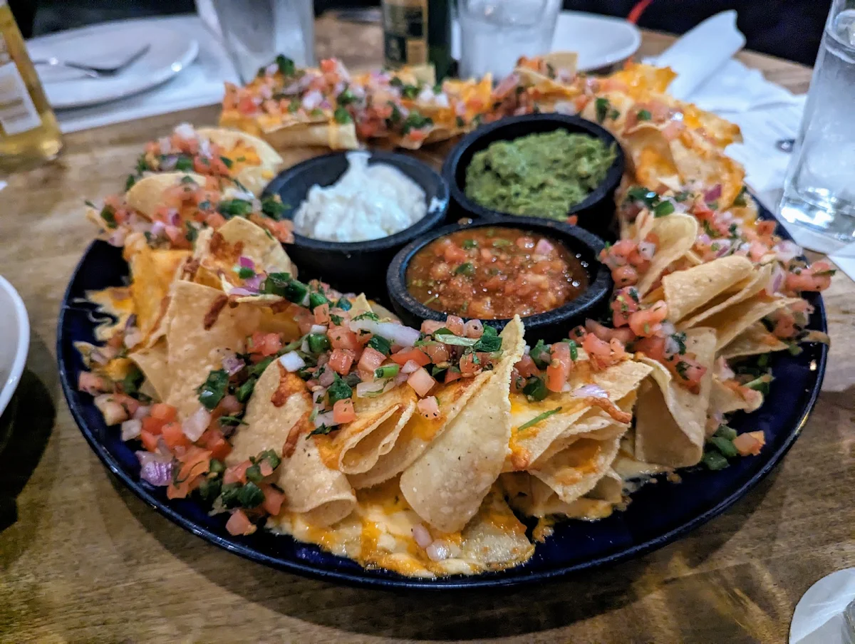 Double Cheese Nachos