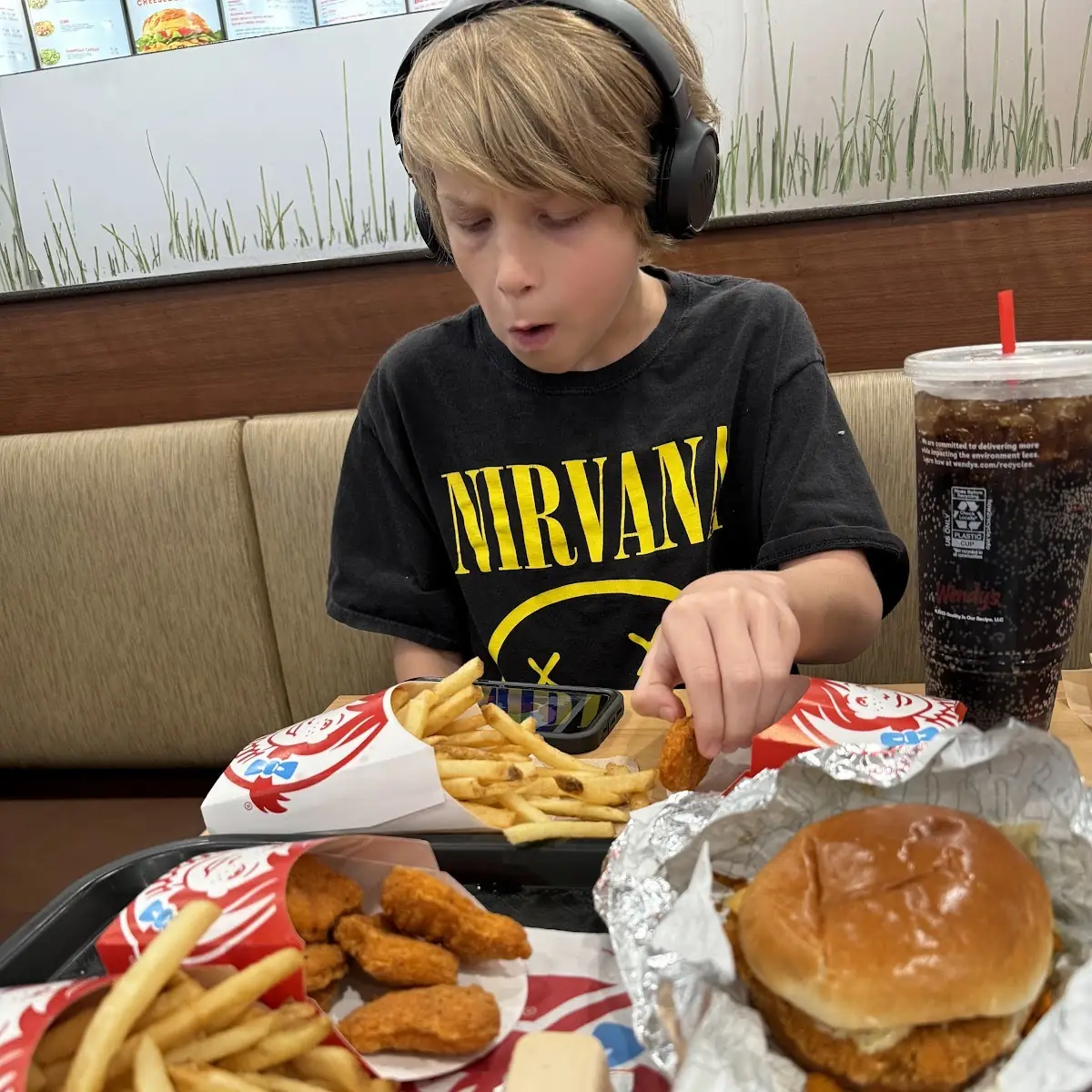 Chicken Sandwich and Fries