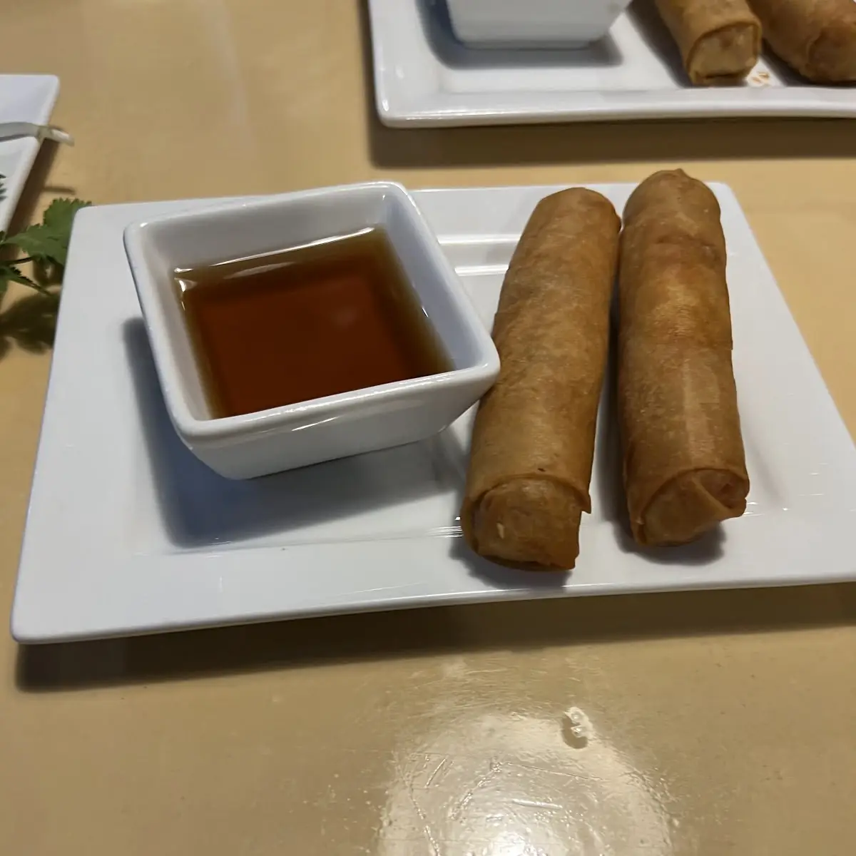 Spring Roll