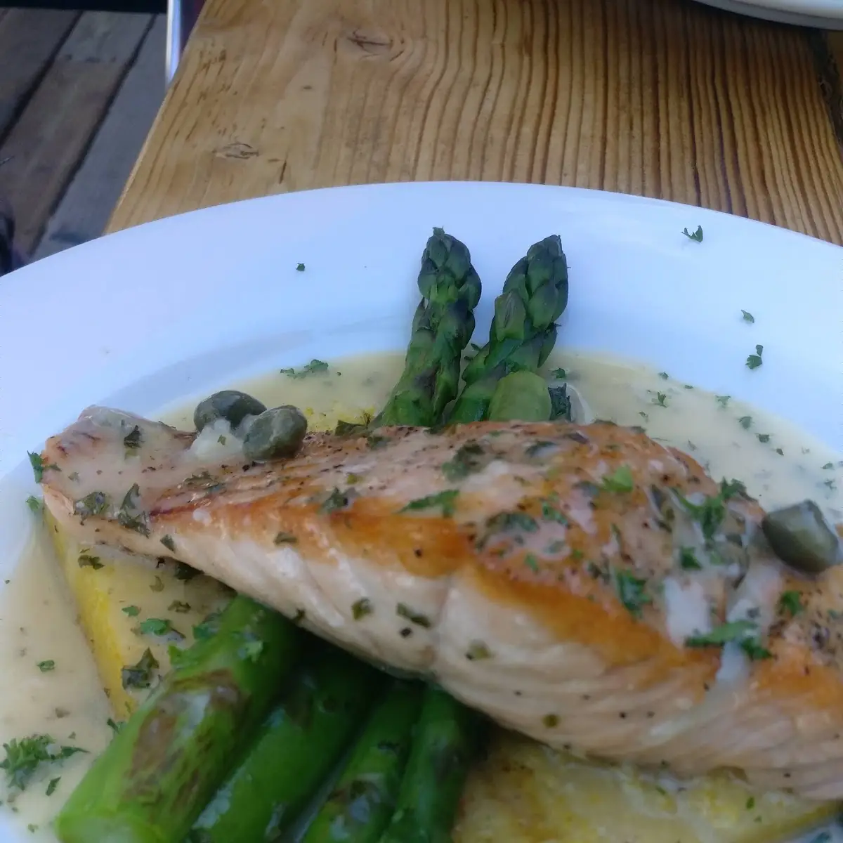 Sea Bass