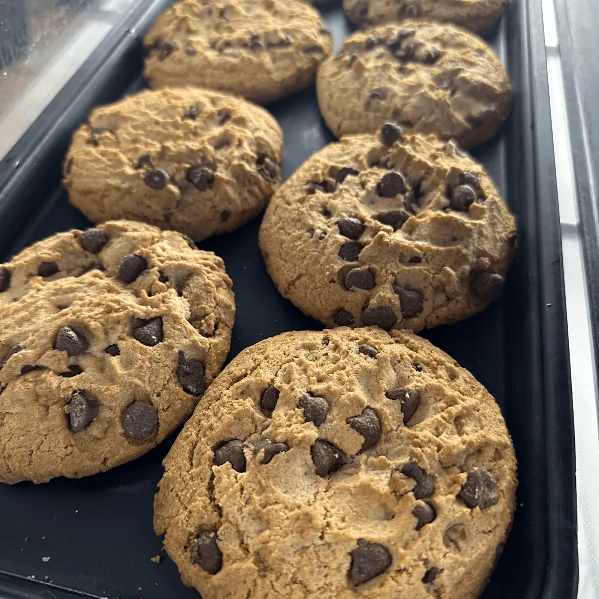Chocolate Chip Cookie