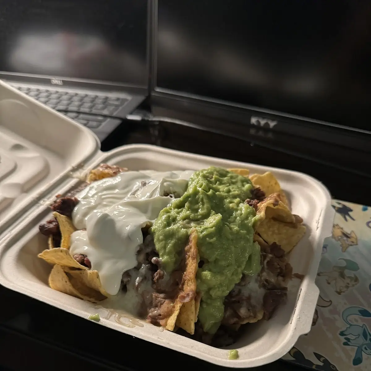 Carne Asada Fries