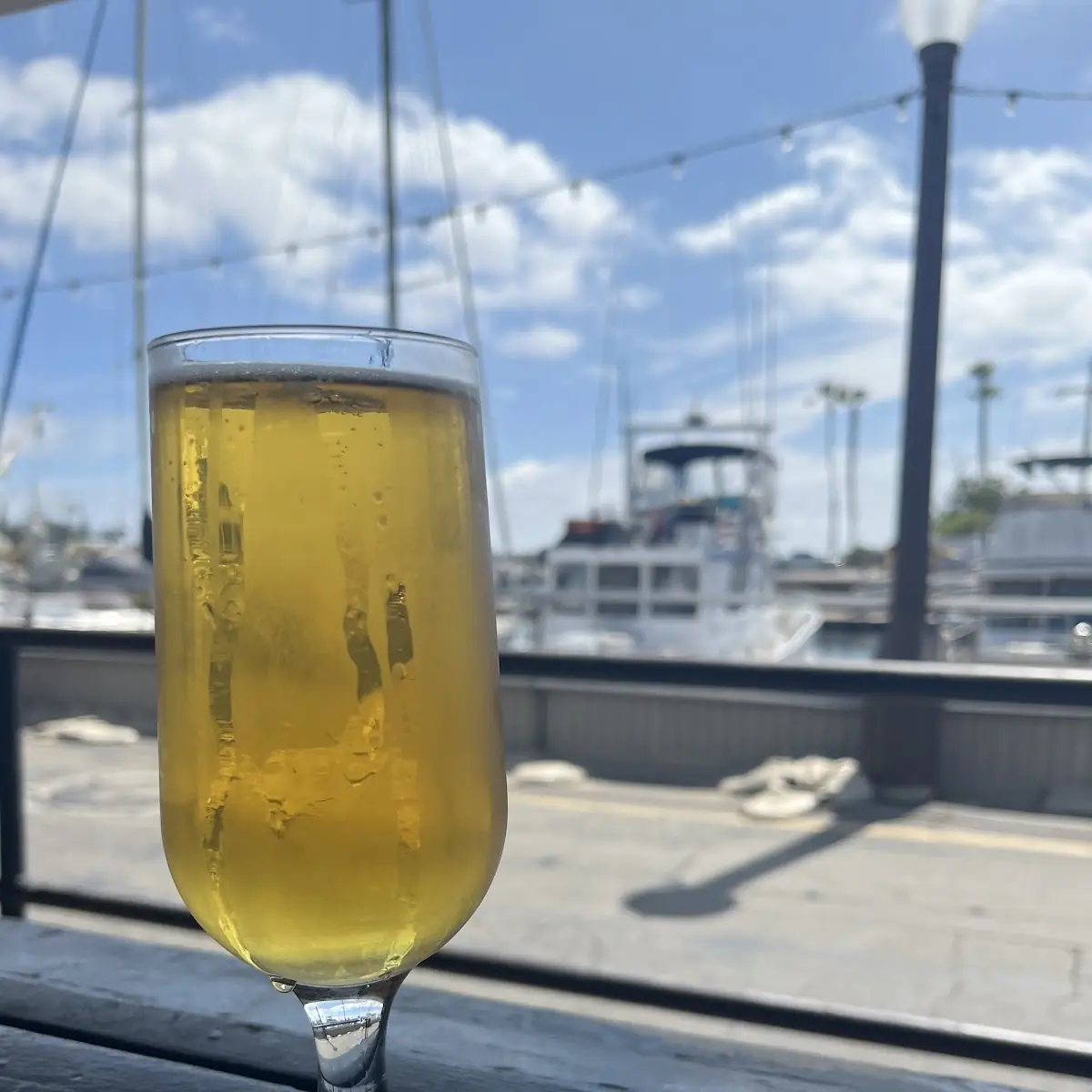 Draft Beer with Marina View
