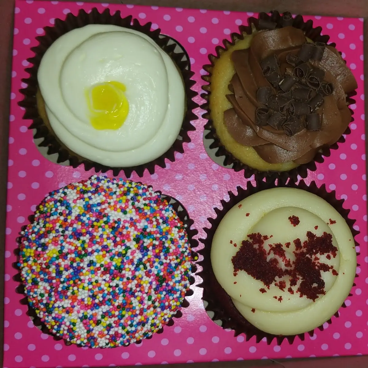 Mini Cupcakes Dozen