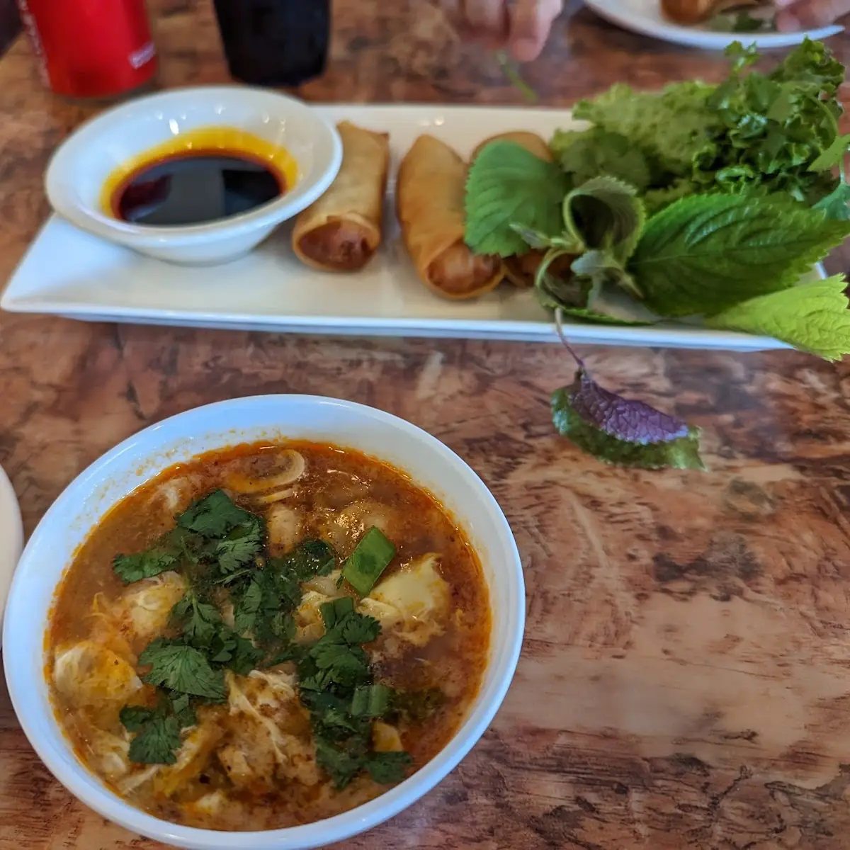 Spring Rolls and Wonton Soup