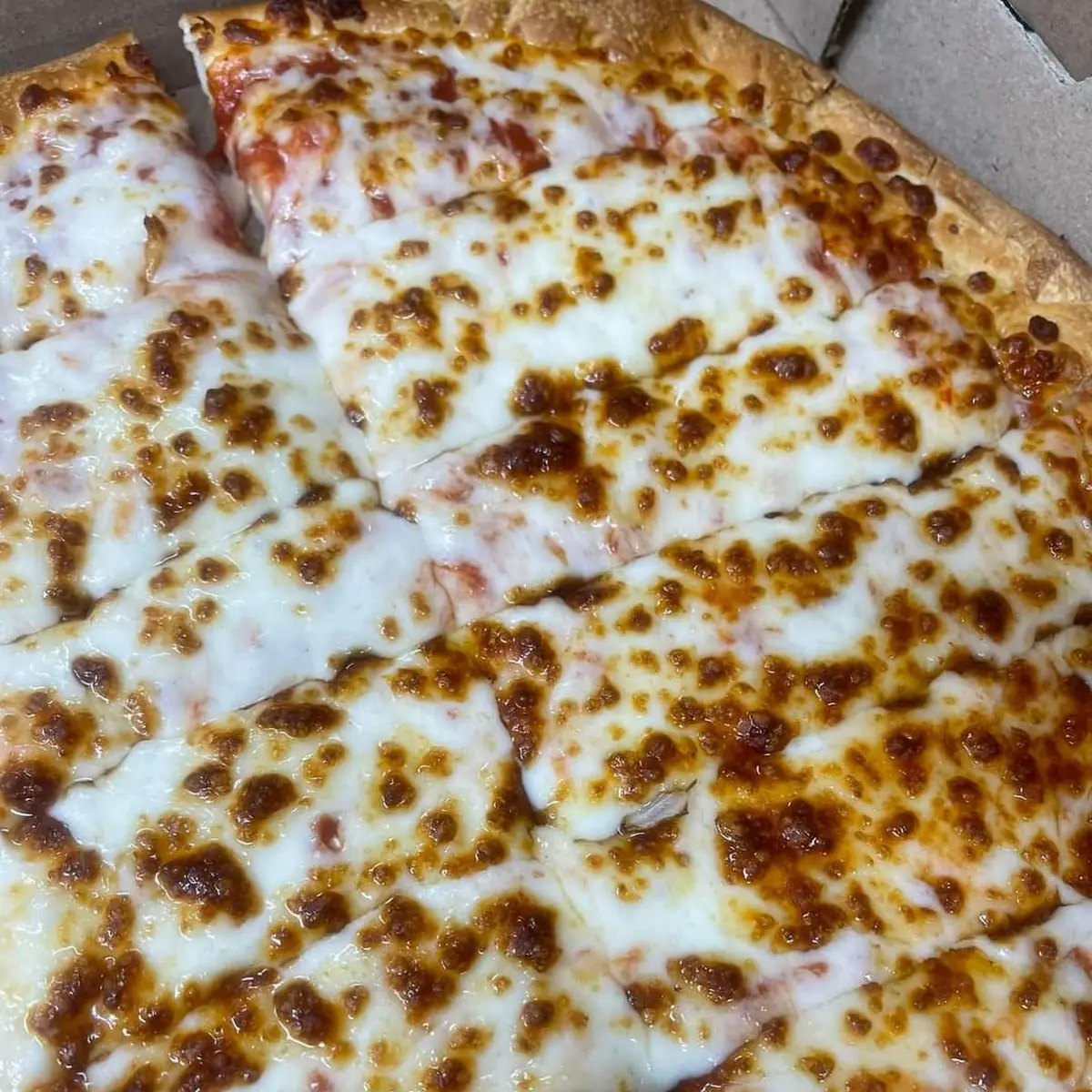 Cheese Pizza