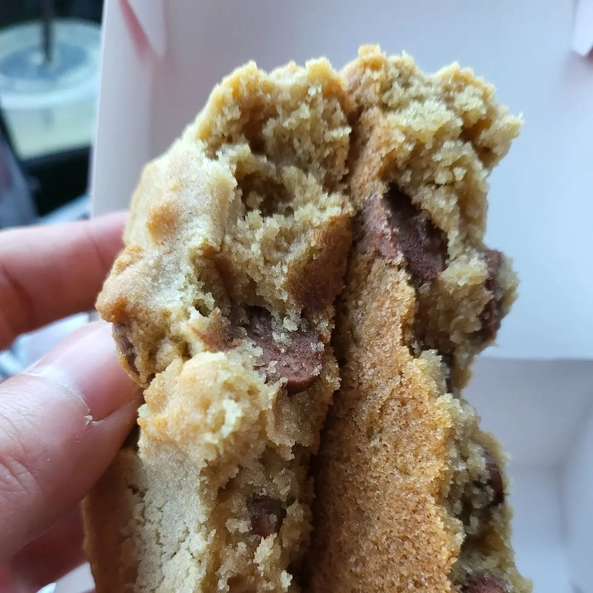 Chocolate Chip Cookie