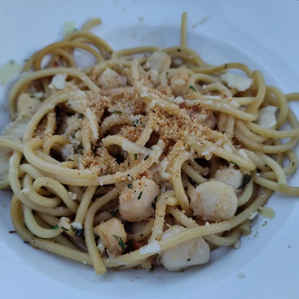 Bay Scallop Bucatini
