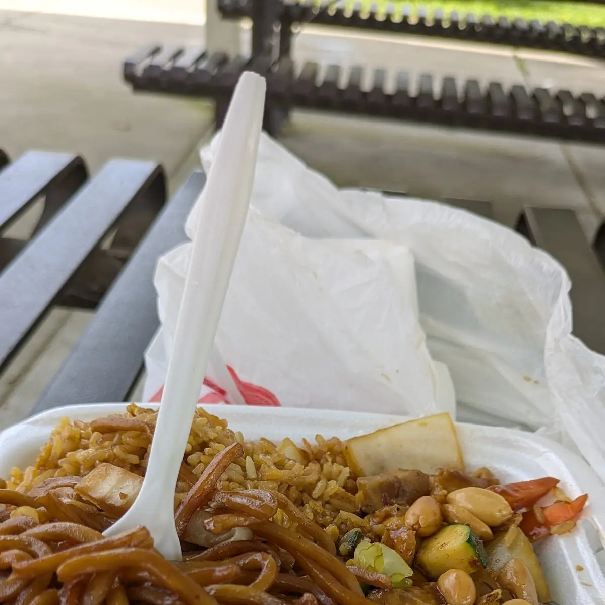 Hongkong Pan Fried Noodles