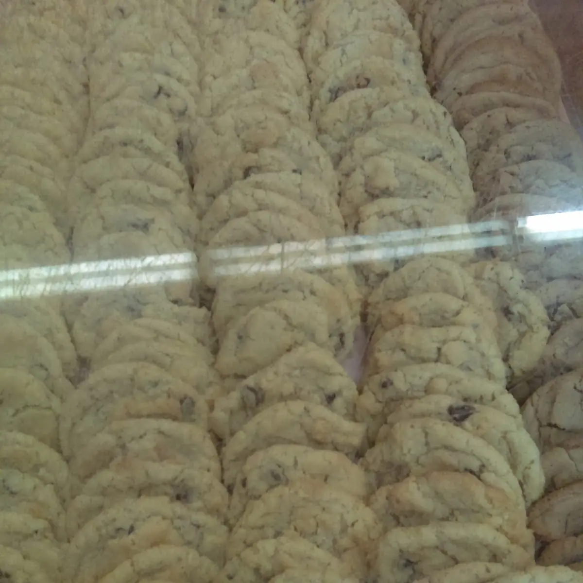 Coconut Chocolate Chip Cookies