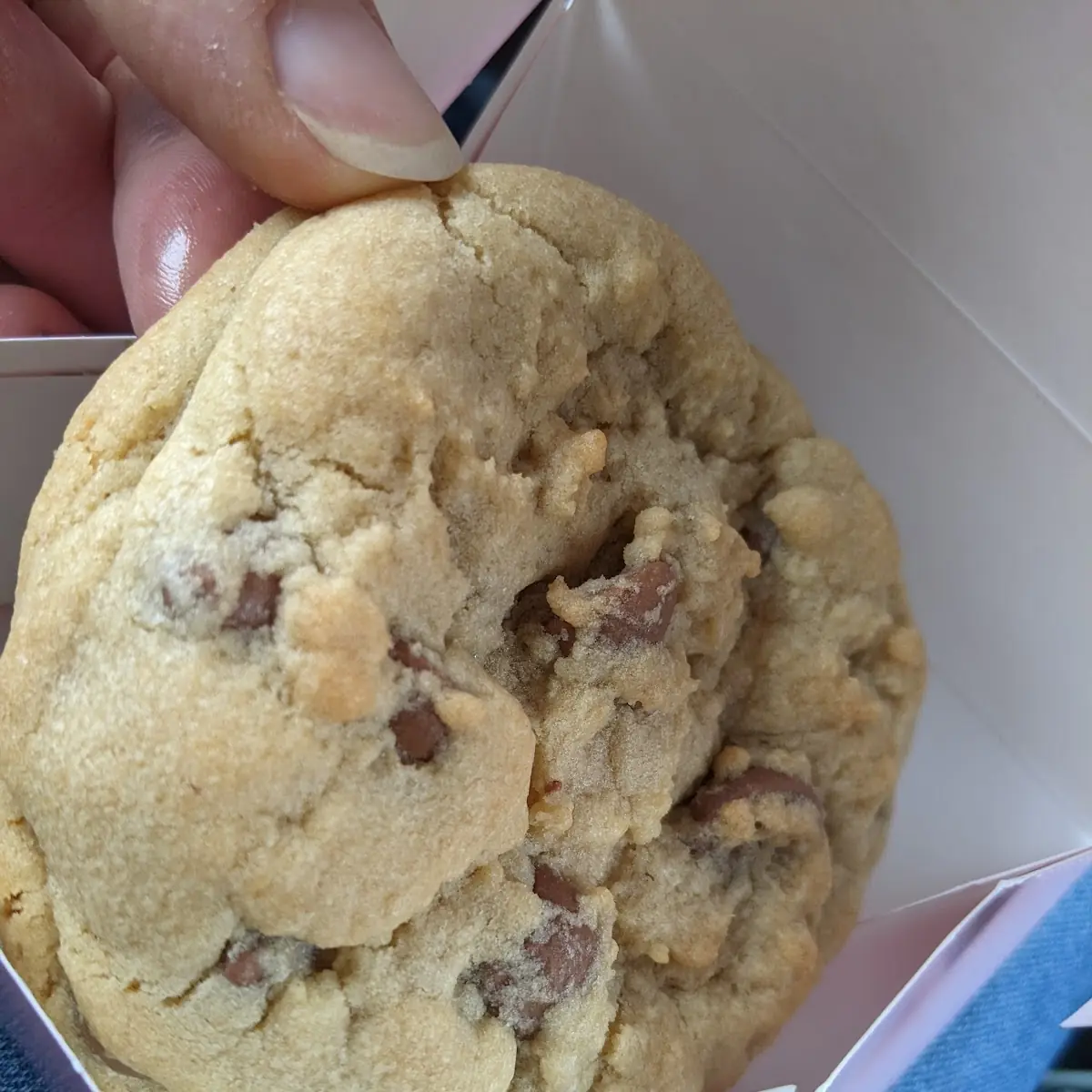 Chocolate Chip Cookie