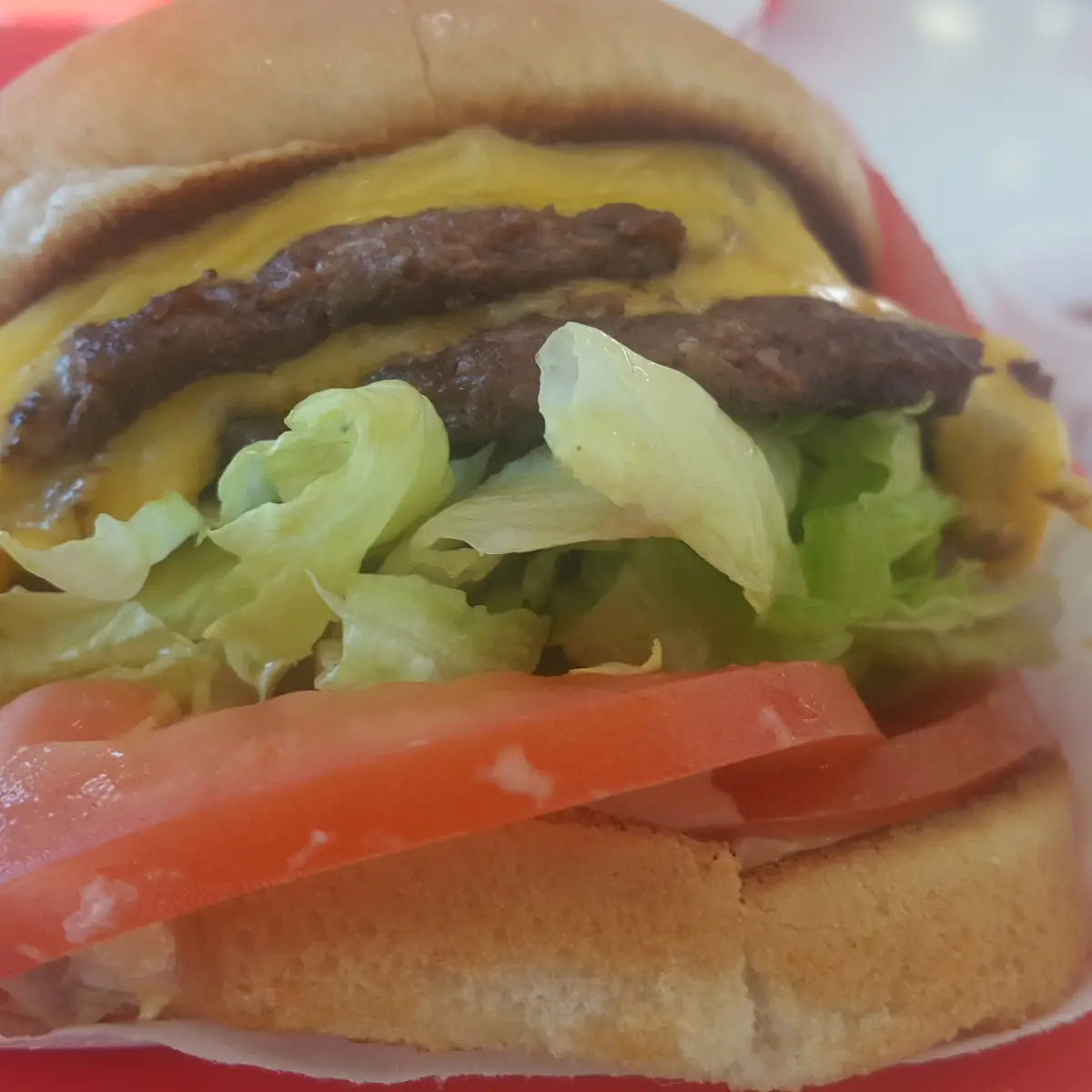 Double Double Cheeseburger