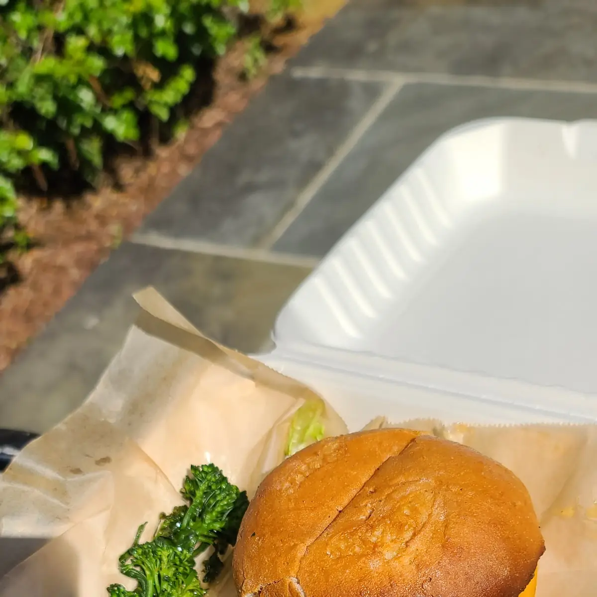 Black Bean Burger