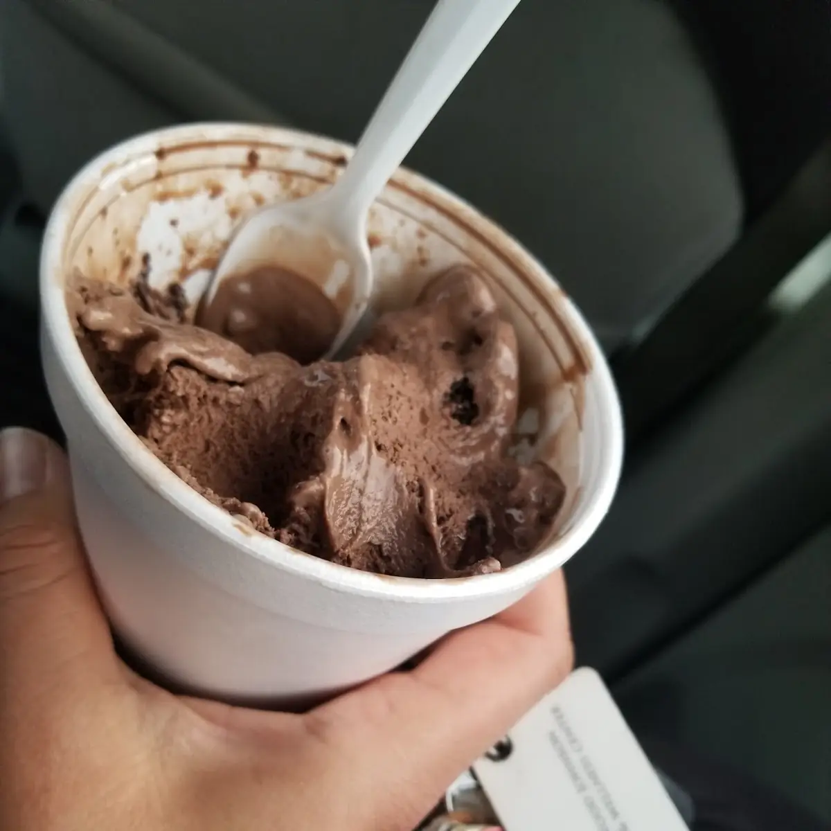 Chocolate Frozen Yogurt