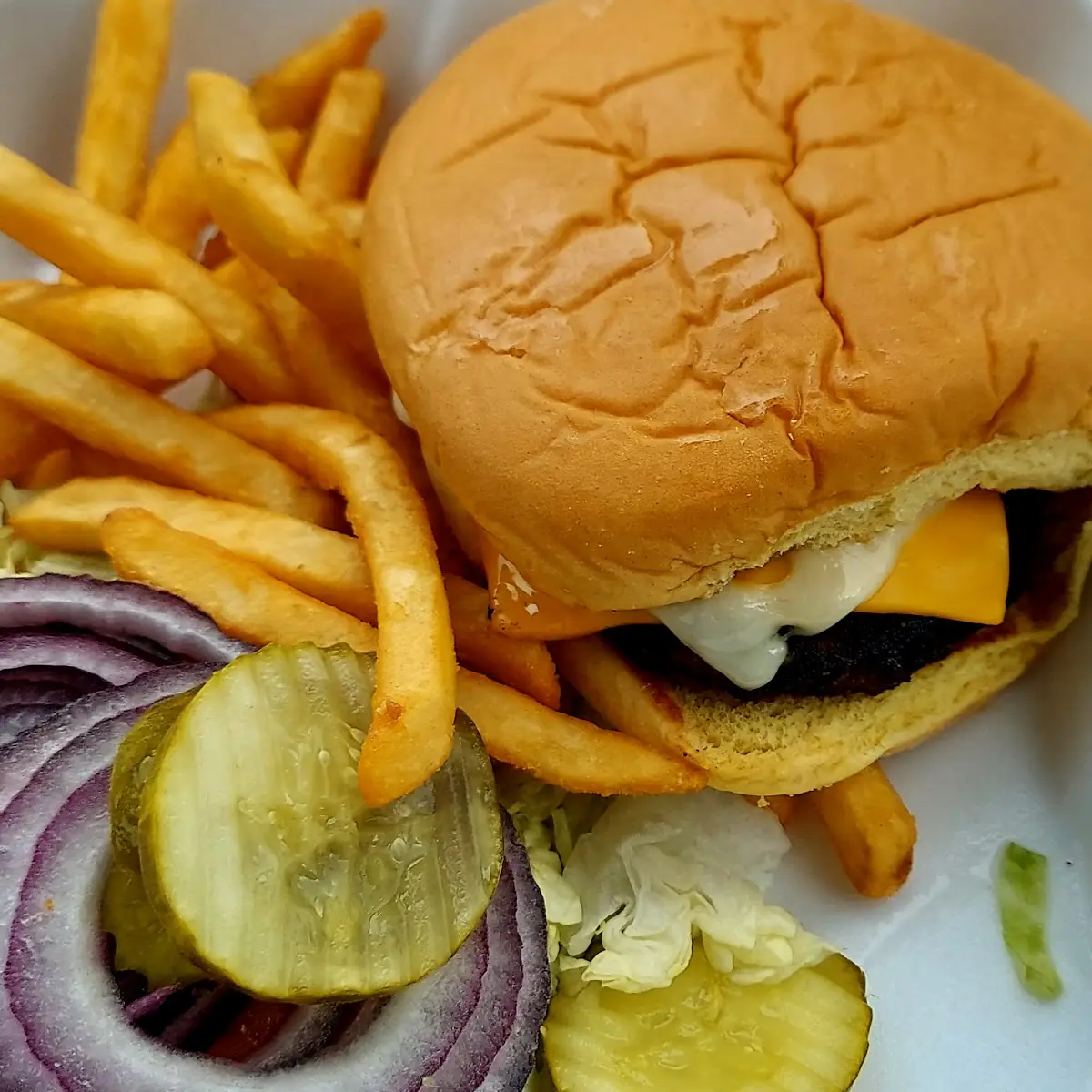 Cheeseburger and Fries