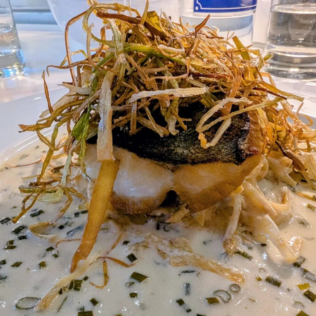 Black Cod