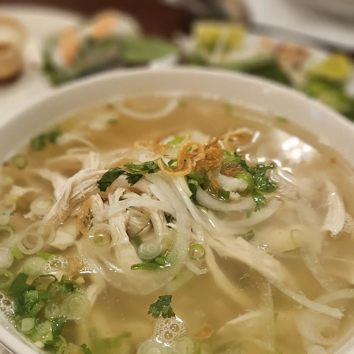 Chicken Noodle Soup Pho GA