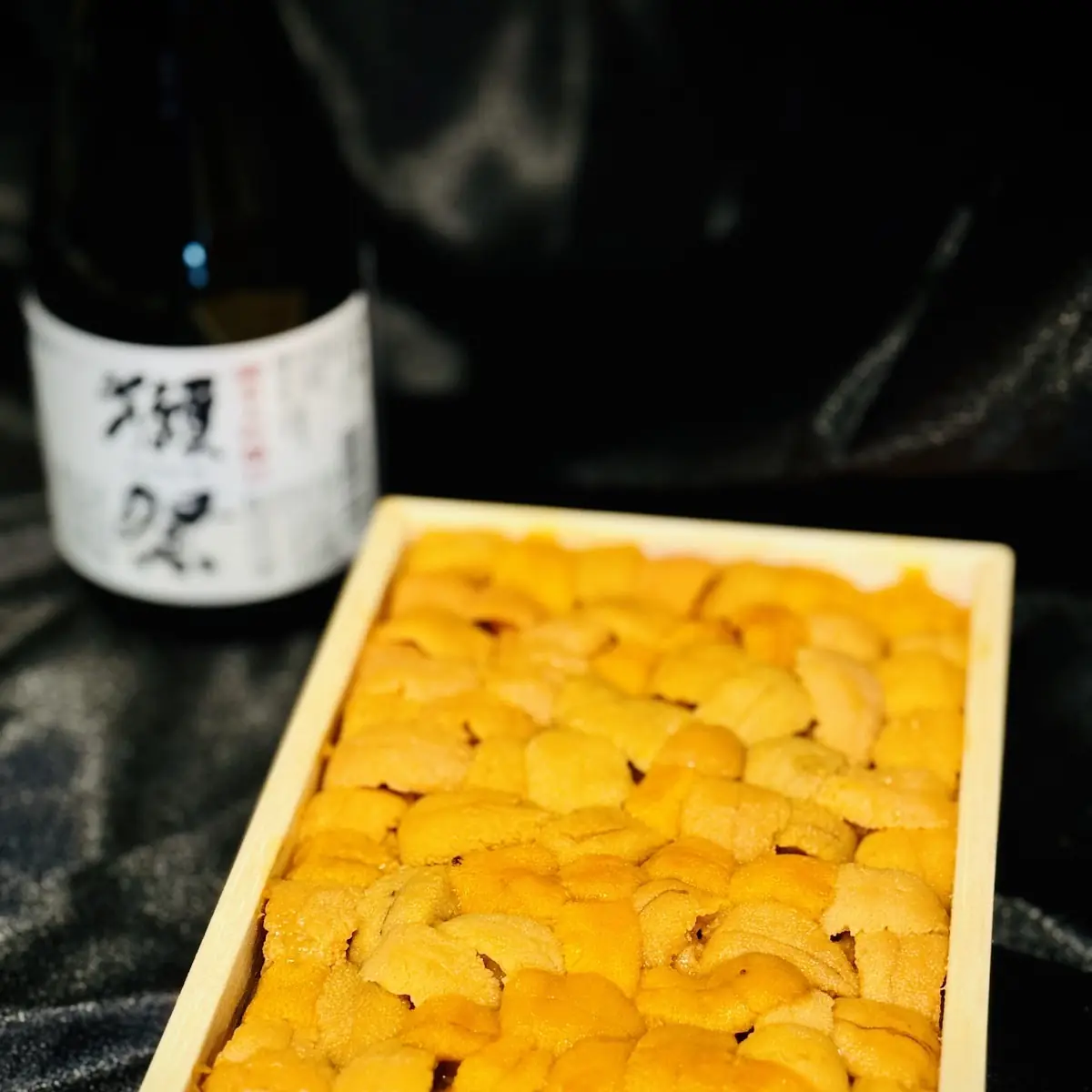 Sea Urchin Hokkido Uni